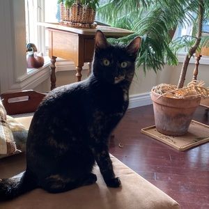 Meet your Posher, Rebecca